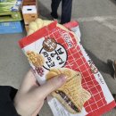 신나라노래방 | [12월] 오늘이 몇 월 며칠인지 아십니까