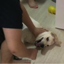 누리하나 이미지