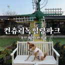힐링독 반려견센터 | 용인 애견동반카페 컨츄리독힐링파크 후기, 요일별 체급구분 운영