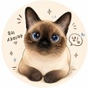 싼타페노래짱 | 신혼부부 6월 한달일기 싼타페 출고부터 치근단절제술까지 정신없었던 한 달