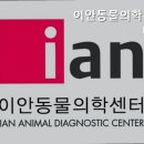 이안동물의학센터 | 강남동물병원 이안동물의학센터 최신 동물 영상 진단