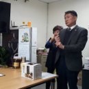황금충초