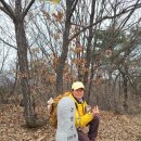 창만5리 이미지