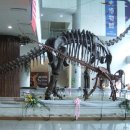 계룡산자연사박물관 이미지