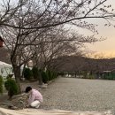 칠포그린로즈펜션야영장 | [캠핑] 포항 벚꽃 캠핑 '칠포그린로즈캠핑펜션야영장' 2박 3일 후기 🌸