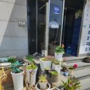 꾸어바666 | 안양점심맛집 꾸어바666 다녀온 후기