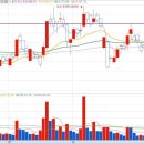 영신 모터스 이미지