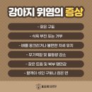 왜관동물병원 이미지