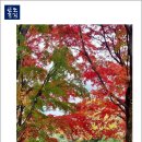 돌산공원 정상 이미지