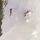 남양낚시터 이미지