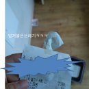 부산 오피스텔 3개/다세대주택 1개 명도 이야기 (총 6개월이 걸린) 이미지