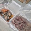 UR(경주시)-[동해안로]-상-3 | 경주감포횟집 형제수산 수협활어직판장 모둠회 해산물 2인 회포장 후기
