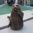 늘을2로26 이미지