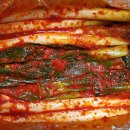 파김치 덕후가 결국 정착한 대용량 김치!! 이룸채 수입 대파김치 10kg 솔직 후기!!