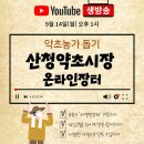 구기자 약초시장 이미지
