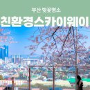 친환경스카이웨이 전망대 | 부산 벚꽃명소 드라이브 데이트코스 친환경스카이웨이 주차가능