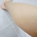 (주)인터퓨어 | 등드름 바디워시 시원한 티트리 쿤달로 작별