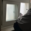 [고양시방충망 , 일산방충망] 방충망 특공대 :: 방충망교체 후기 방충망가격 정보