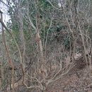 석암농장 이미지