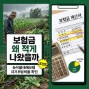 법인자연축산 | 농작물재해보험, 보험금이 적게 나온 이유는 자기부담비율이었습니다