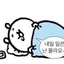 호호제주 이미지