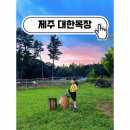 방글목장 | 제주도 아기랑 갈만한 곳, 현지인도 잘 모른다는 대한목장 홀리랜드 카페