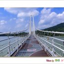 탑정호출렁다리 이미지