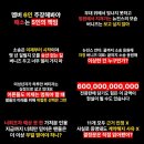 지자인