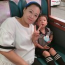 재희목장 Daum카페