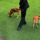 뭉개뭉개인강릉 이미지