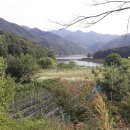 동량면사무소 이미지