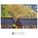 대진사 - 동작구 노량진로 152-1 | 대진사