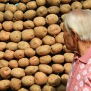 정선읍 공설운동장 이미지