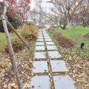 첫마을4단지 버스정류장 이미지