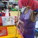 일성상회 | 부산자갈치횟집 신선한 회가 기가막힌 남포동횟집 일성상회 jmt