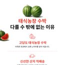 태식농장 이미지