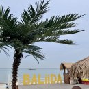 오션주차&세차타운 | ::발리다:: 대부도 오션뷰 감성 카페 내돈내산 후기 (애견동반 / 노키즈존? / 주차 정보)