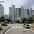 나비허리길 네이버블로그