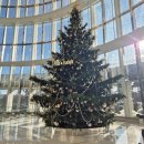 한강크리닝 | [호캉스 후기] 시그니엘 서울 프리미어 더블룸 한강뷰 크리스마스 호캉스 후기