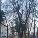 면목천로 이미지