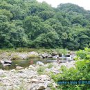 구나무촌 유원지 이미지