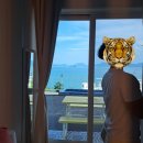 메르 온수수영장펜션 이미지