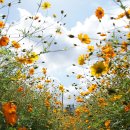 송현공원 이미지