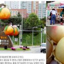경기동부과수농업협동조합 이미지