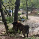 제2봉명교 앞 | 5월 충남 가야산 100대명산 가야봉 한북정맥 석문봉 2봉 등산후기