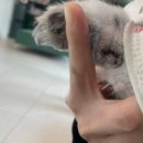 유스동물병원 이미지