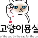 고양이묭실 이미지