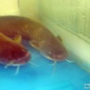 연제구-021 이미지