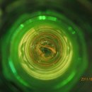 구름이쉬어가는농원 이미지