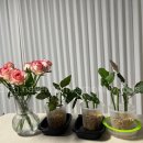 감불농장 | 식목일이 아니어도 봄이 왔으니 파종해야지~ 1탄